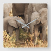 Kutest Baby Animals | Twee jonge olifanten Vierkante Klok (Voorkant)