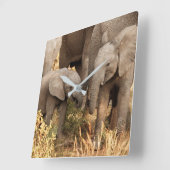 Kutest Baby Animals | Twee jonge olifanten Vierkante Klok (Hoek)