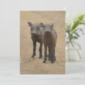 Kutest Baby Animals | Twee jonge Warthogs Bedankkaart (Staand voorkant)