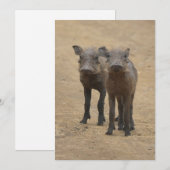 Kutest Baby Animals | Twee jonge Warthogs Bedankkaart (Voorkant / Achterkant)