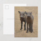 Kutest Baby Animals | Twee jonge Warthogs Briefkaart (Voorkant / Achterkant)