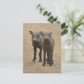 Kutest Baby Animals | Twee jonge Warthogs Briefkaart (Staand voorkant)