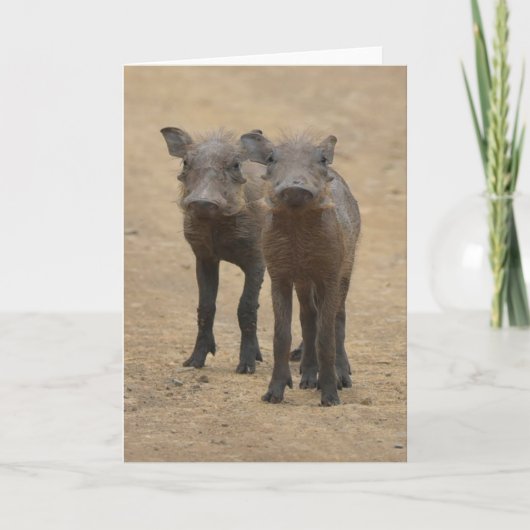 Kutest Baby Animals | Twee jonge Warthogs Kaart (Voorkant)
