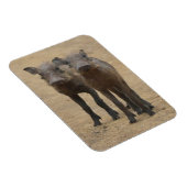 Kutest Baby Animals | Twee jonge Warthogs Magneet (Rechterzijde)