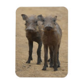 Kutest Baby Animals | Twee jonge Warthogs Magneet (Verticaal)