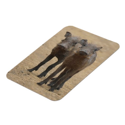 Kutest Baby Animals | Twee jonge Warthogs Magneet (Linkerzijde)