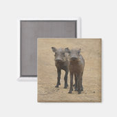 Kutest Baby Animals | Twee jonge Warthogs Magneet (Voorkant / Achterkant)