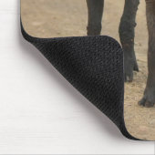 Kutest Baby Animals | Twee jonge Warthogs Muismat (Hoek)