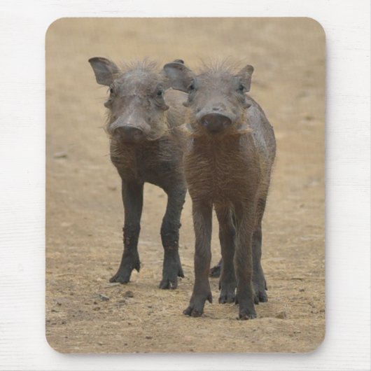 Kutest Baby Animals | Twee jonge Warthogs Muismat (Voorkant)