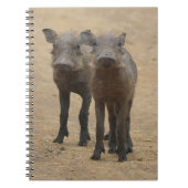 Kutest Baby Animals | Twee jonge Warthogs Notitieboek (Voorkant)