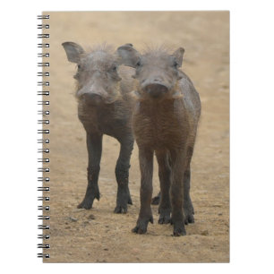 Kutest Baby Animals Twee jonge Warthogs Notitieboek