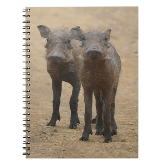 Kutest Baby Animals | Twee jonge Warthogs Notitieboek (Voorkant)