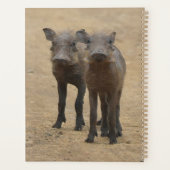 Kutest Baby Animals | Twee jonge Warthogs Planner (Achterkant)