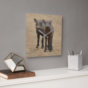 Kutest Baby Animals   Twee jonge Warthogs Vierkante Klok
