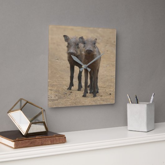 Kutest Baby Animals | Twee jonge Warthogs Vierkante Klok (Kantoor)