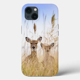 Kutest Baby Animals   Twee jonge Witte Gedetaillee Case-Mate iPhone Case