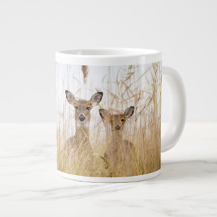 Kutest Baby Animals   Twee jonge Witte Gedetaillee Grote Koffiekop