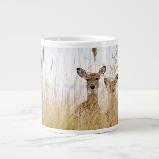 Kutest Baby Animals | Twee jonge Witte Gedetaillee Grote Koffiekop (Voorkant)