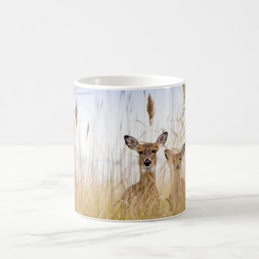 Kutest Baby Animals | Twee jonge Witte Gedetaillee Koffiemok (Center)