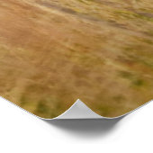 Kutest Baby Animals | Twee jonge Witte Gedetaillee Poster (Hoek)