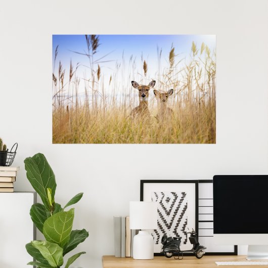 Kutest Baby Animals | Twee jonge Witte Gedetaillee Poster (Thuiskantoor)