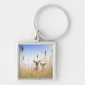 Kutest Baby Animals | Twee jonge Witte Gedetaillee Sleutelhanger (Voorkant)