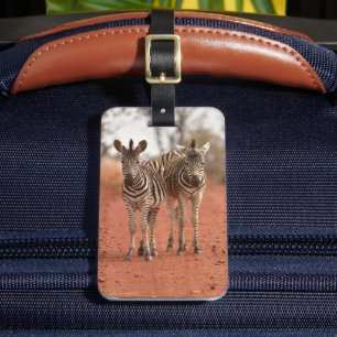 Kutest Baby Animals Twee jonge Zebras Bagagelabel