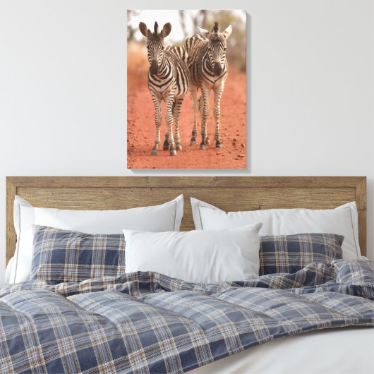 Kutest Baby Animals | Twee jonge Zebras Canvas Afdruk (Insitu (Slaapkamer))