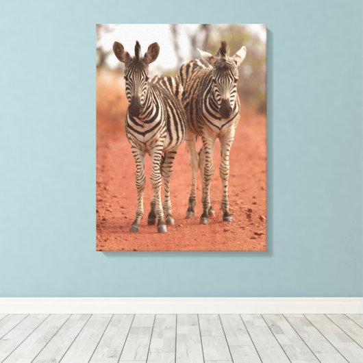 Kutest Baby Animals | Twee jonge Zebras Canvas Afdruk (Insitu (Houten vloer))