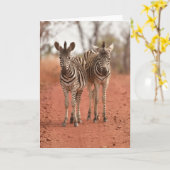 Kutest Baby Animals | Twee jonge Zebras Kaart (Gele Bloem)