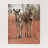Kutest Baby Animals | Twee jonge Zebras Legpuzzel (Verticaal)