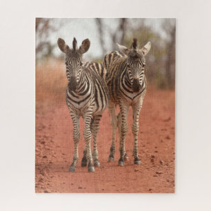 Kutest Baby Animals   Twee jonge Zebras Legpuzzel