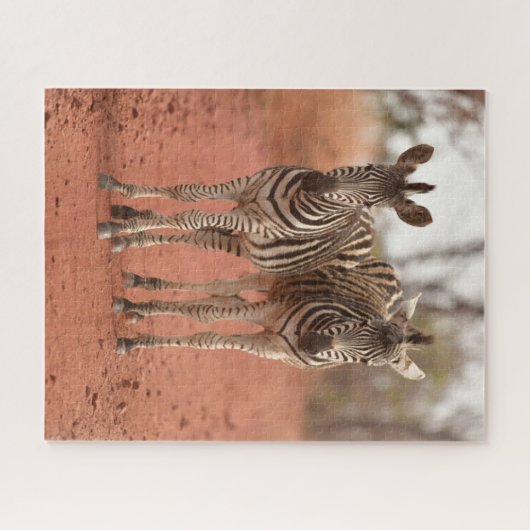Kutest Baby Animals | Twee jonge Zebras Legpuzzel (Horizontaal)