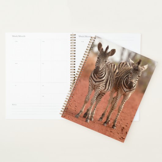 Kutest Baby Animals | Twee jonge Zebras Planner (Display)
