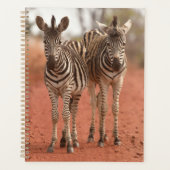 Kutest Baby Animals | Twee jonge Zebras Planner (Voorkant)