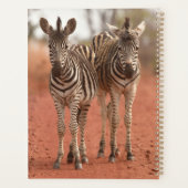 Kutest Baby Animals | Twee jonge Zebras Planner (Achterkant)