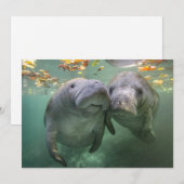 Kutest Baby Animals | Twee lamantijnen Bedankkaart (Voorkant / Achterkant)