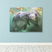 Kutest Baby Animals | Twee lamantijnen Canvas Afdruk (Insitu (Houten vloer))