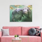 Kutest Baby Animals | Twee lamantijnen Canvas Afdruk (Insitu (Woonkamer))