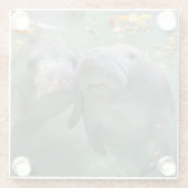 Kutest Baby Animals | Twee lamantijnen Glazen Onderzetter (Achterkant)