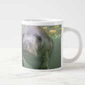 Kutest Baby Animals | Twee lamantijnen Grote Koffiekop (Rechts)