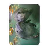 Kutest Baby Animals | Twee lamantijnen Magneet (Verticaal)