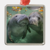 Kutest Baby Animals | Twee lamantijnen Metalen Ornament (Voorkant)