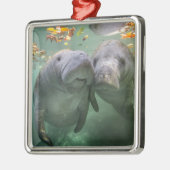 Kutest Baby Animals | Twee lamantijnen Metalen Ornament (Links)