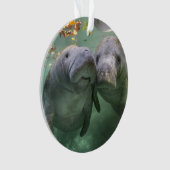 Kutest Baby Animals | Twee lamantijnen Ornament (voorkant)