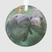 Kutest Baby Animals | Twee lamantijnen Ornament (achterkant)