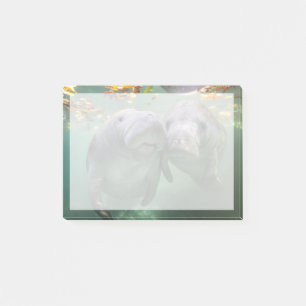Kutest Baby Animals   Twee lamantijnen Post-it® Notes