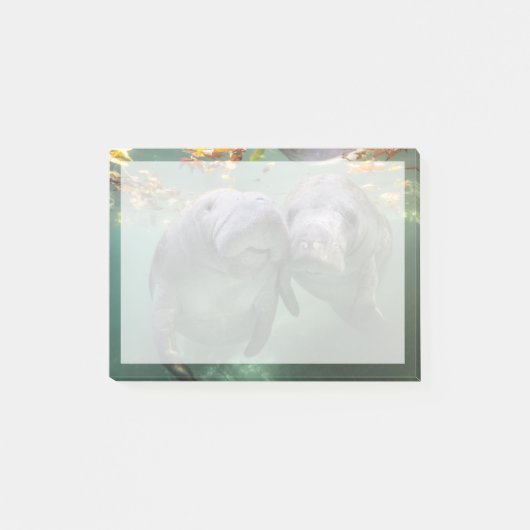 Kutest Baby Animals | Twee lamantijnen Post-it® Notes