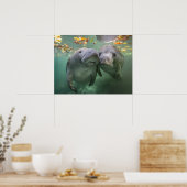 Kutest Baby Animals | Twee lamantijnen Poster (Keuken)