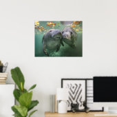 Kutest Baby Animals | Twee lamantijnen Poster (Thuiskantoor)